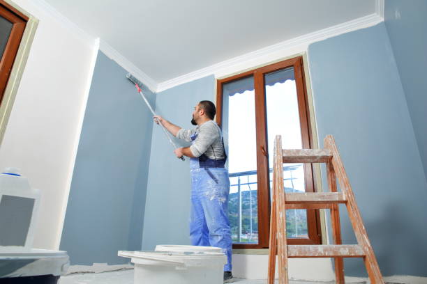 Best Repainting for Renovations  in Louisville, GA