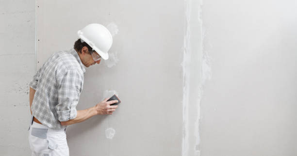 Best Drywall Sanding and Smoothing  in Louisville, GA